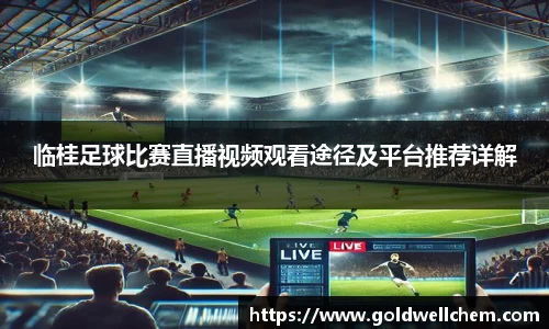 临桂足球比赛直播视频观看途径及平台推荐详解