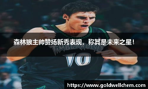 森林狼主帅赞扬新秀表现，称其是未来之星！
