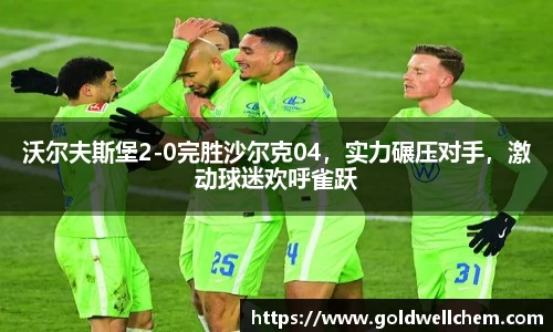 沃尔夫斯堡2-0完胜沙尔克04，实力碾压对手，激动球迷欢呼雀跃