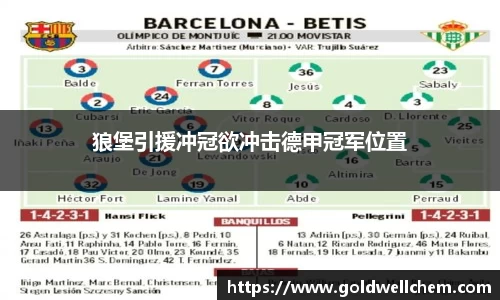 狼堡引援冲冠欲冲击德甲冠军位置